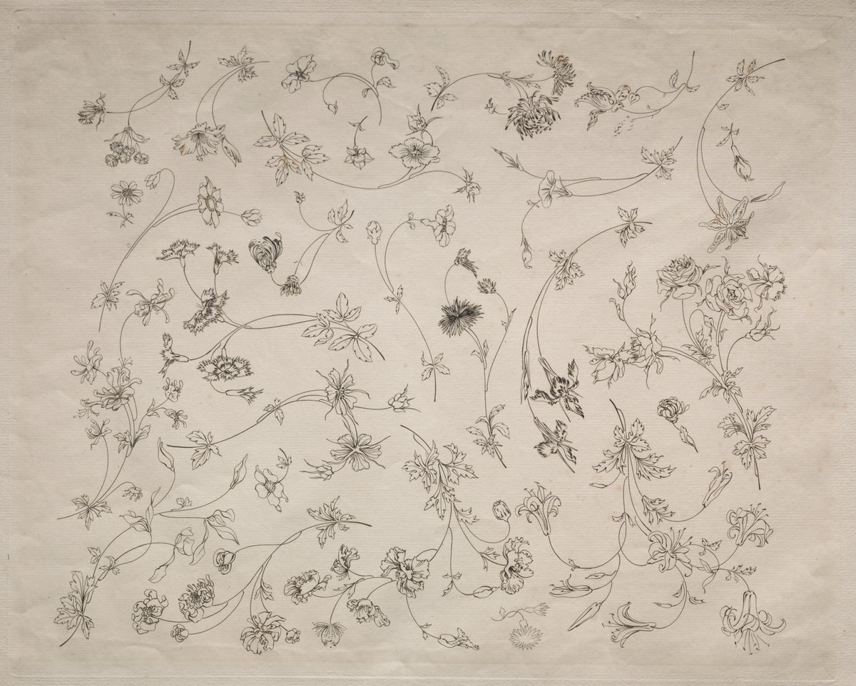 Flower designs for plates and borders (no. 14) — Félix Bracquemond