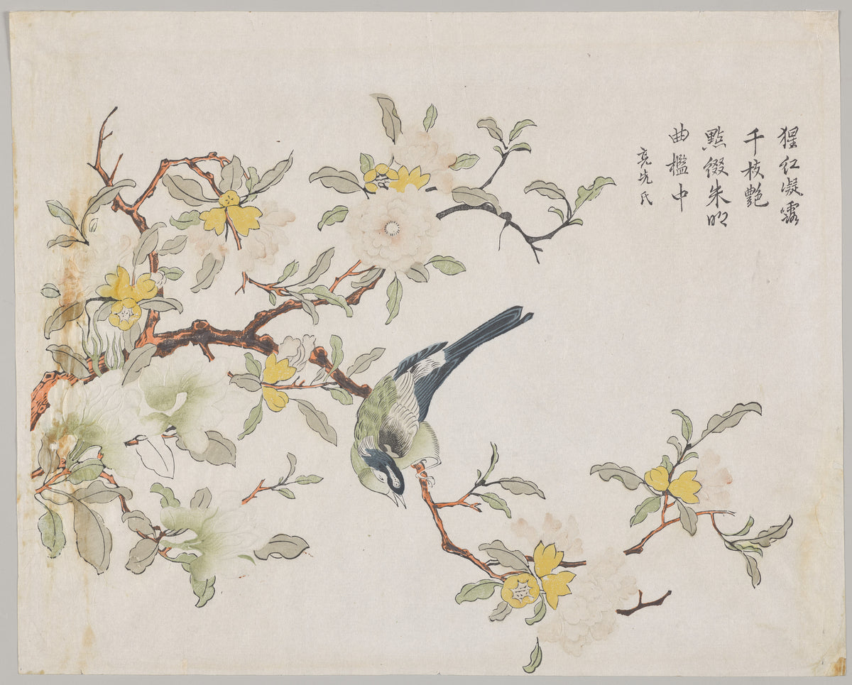 Bird on Pomegranate