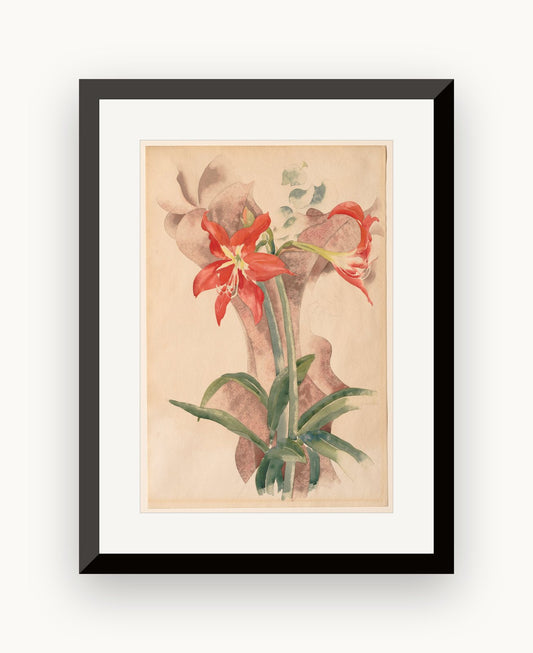 Amarilis — Charles Demuth
