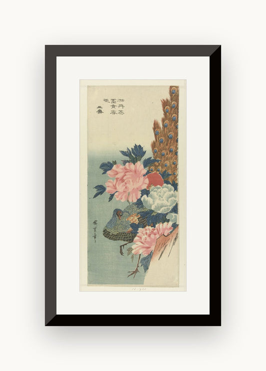 Păun și bujori — Utagawa Hiroshige (ukiyo-e)