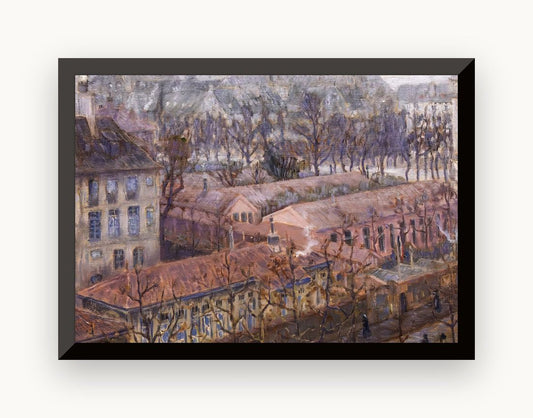 Vedere din înalt a unui colț din Paris (iarnă, zi cu ceață) — Marià Pidelaserra