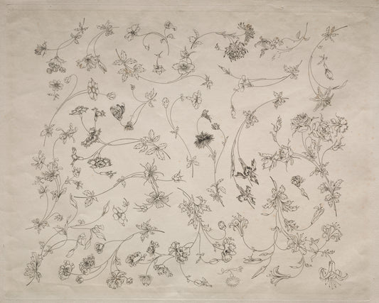 Flower designs for plates and borders (no. 14) — Félix Bracquemond