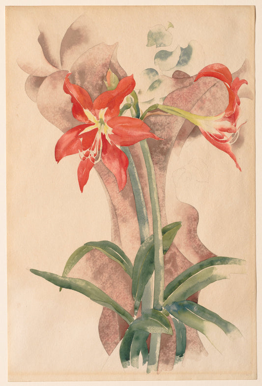 Amaryllis — Charles Demuth