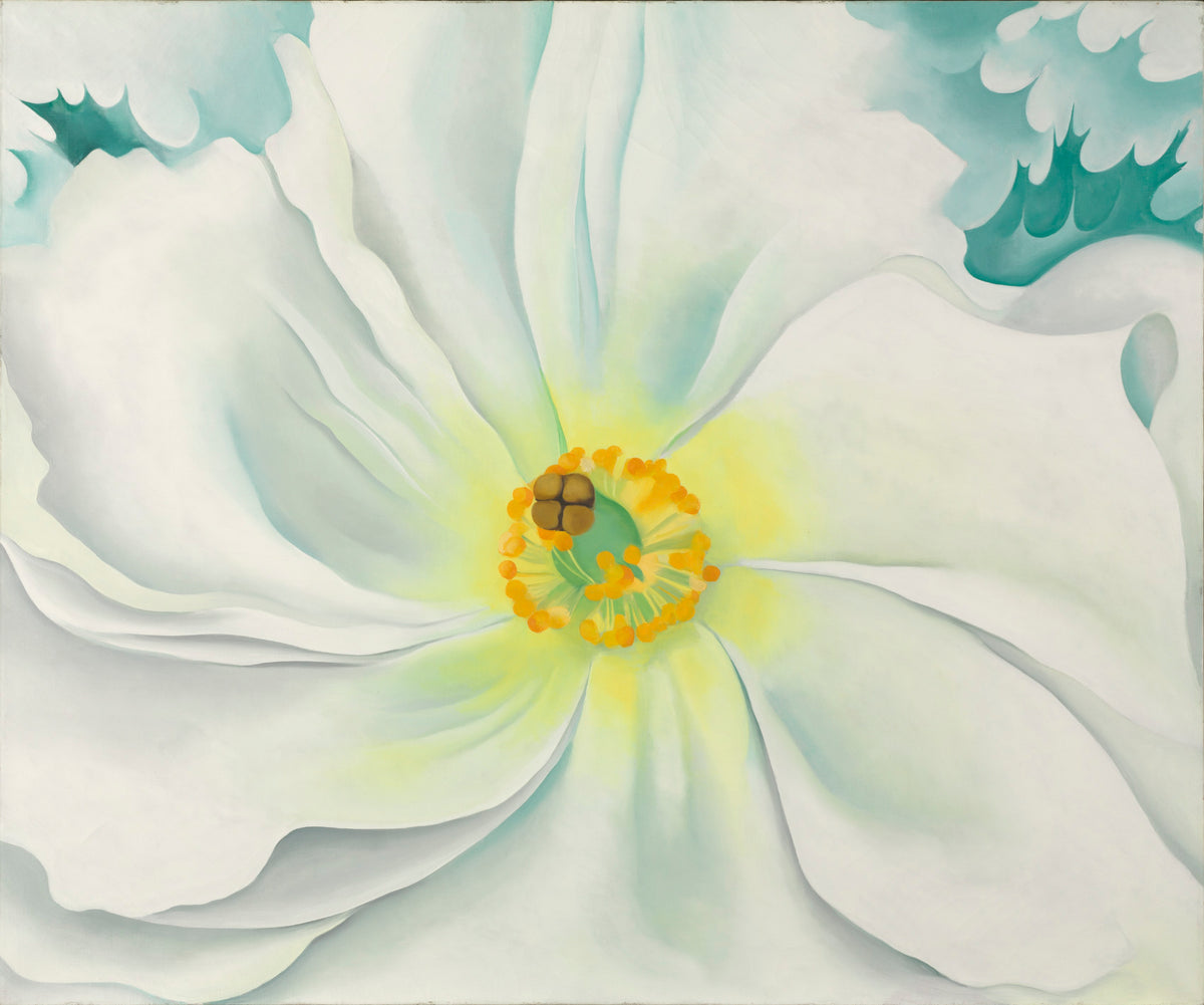 White Flower — Georgia O'Keeffe