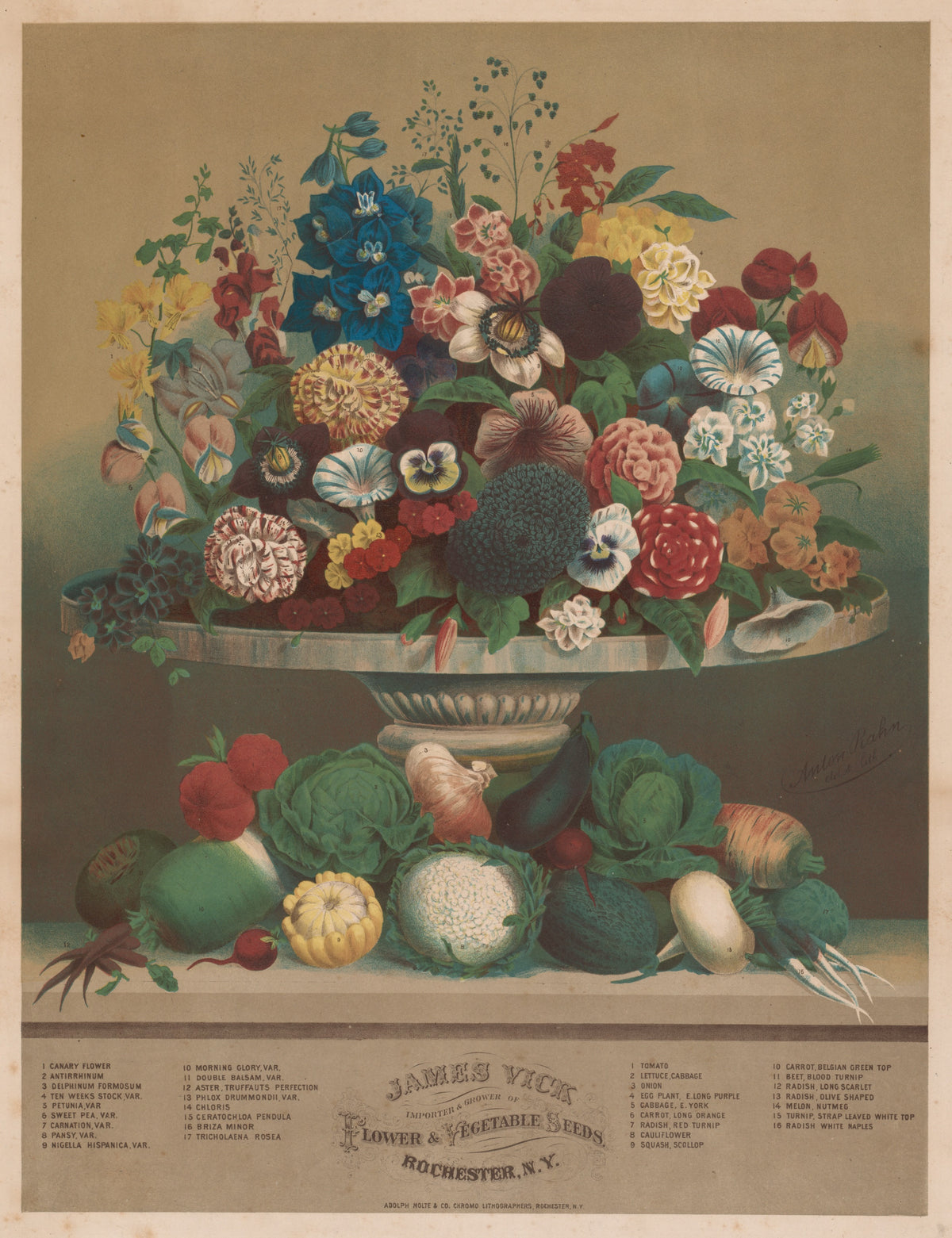 Flori și legume — Anton Carl Rahn