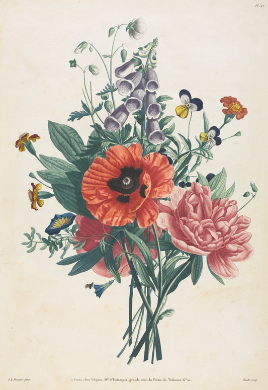 Collection of Flowers and Fruits Painted after Nature Bouquet of Foxglove, Clematis, Pansy, Peony, Poppy, and Yellow Day Lily — Louis Charles Ruotte