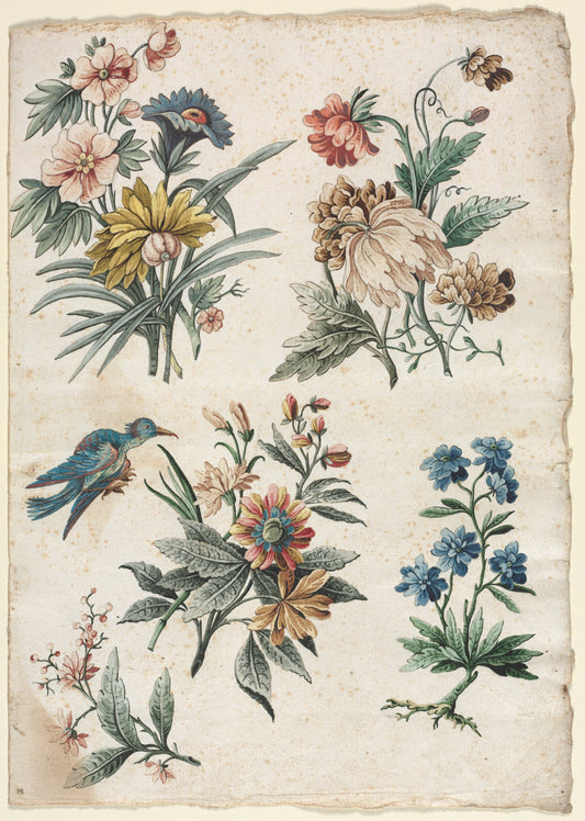 Floral Designs with a Blue Bird — Giacomo Cavenezia
