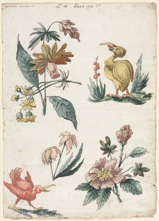 Floral Designs with Two Birds — Giacomo Cavenezia