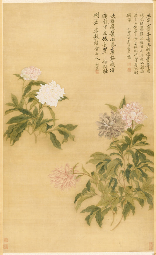 Herbaceous Peony — Yun Shouping