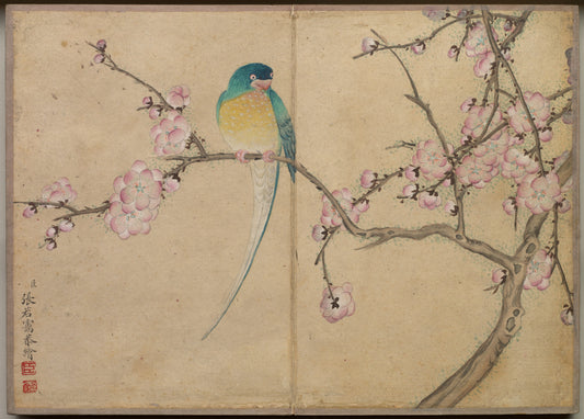 Desk Album Flower and Bird Paintings (Bird with Plum Blossoms) — Zhang Ruoai