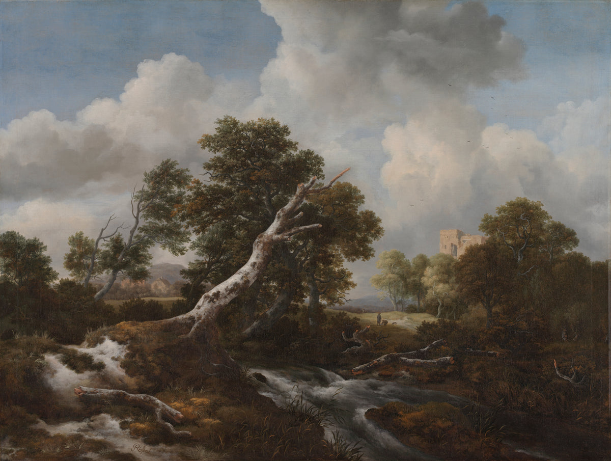 Low Waterfall in a Wooded Landscape with a Dead Beech Tree — Jacob van Ruisdael