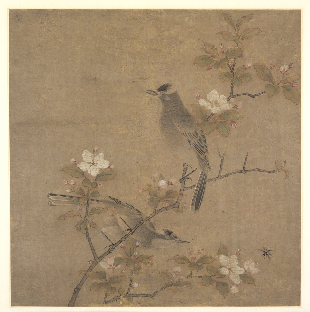 Flowers and Birds — Qian Xuan