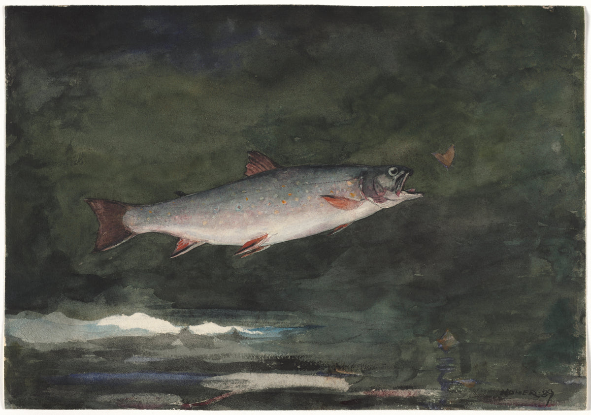 Leaping Trout — Winslow Homer