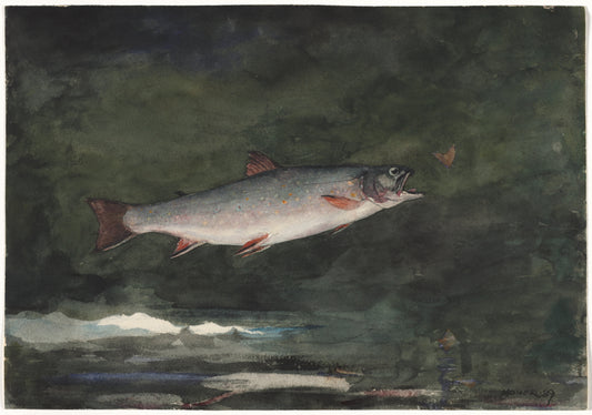 Leaping Trout — Winslow Homer