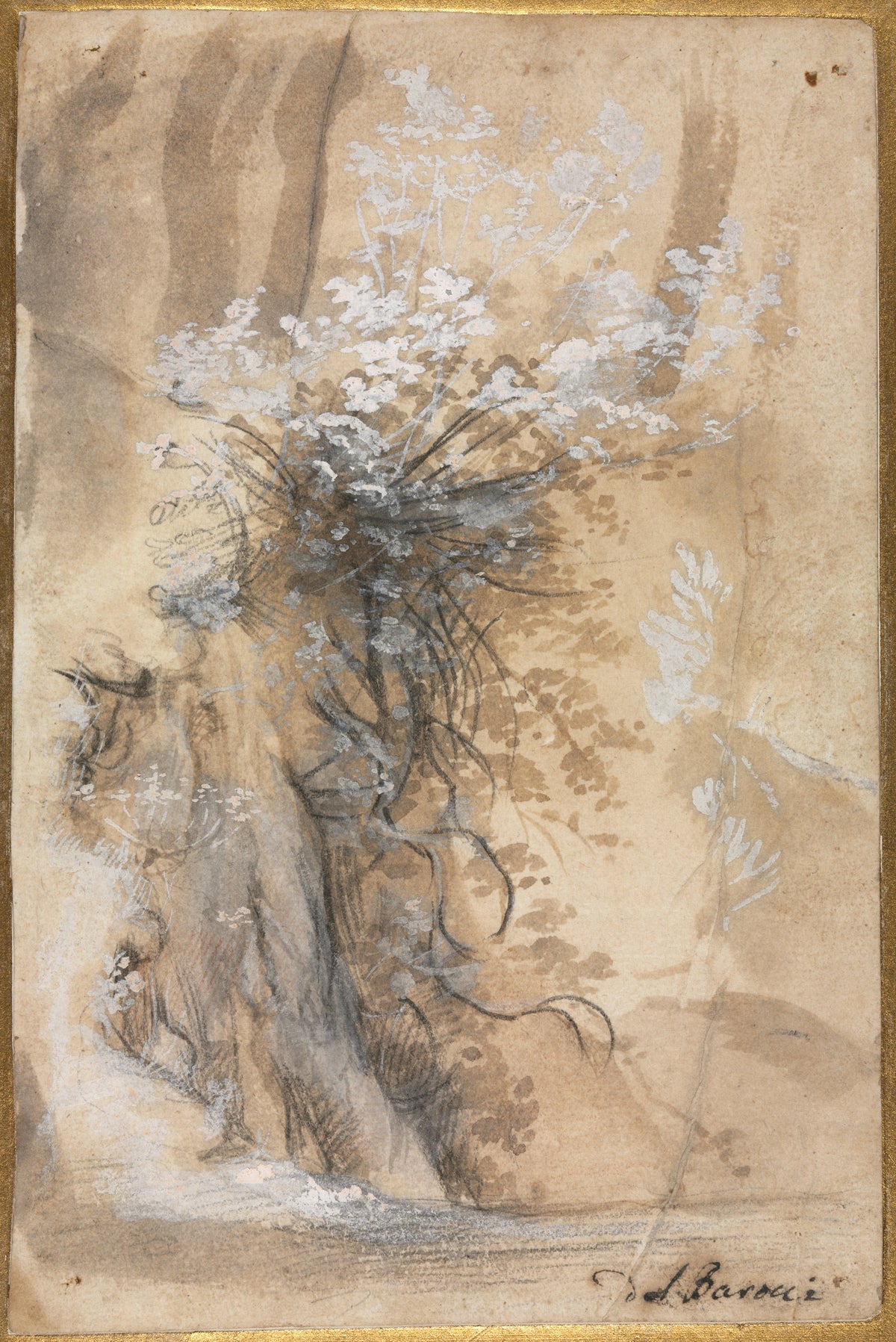 Flowering Bush above an Eroded Bank — Federico Barocci