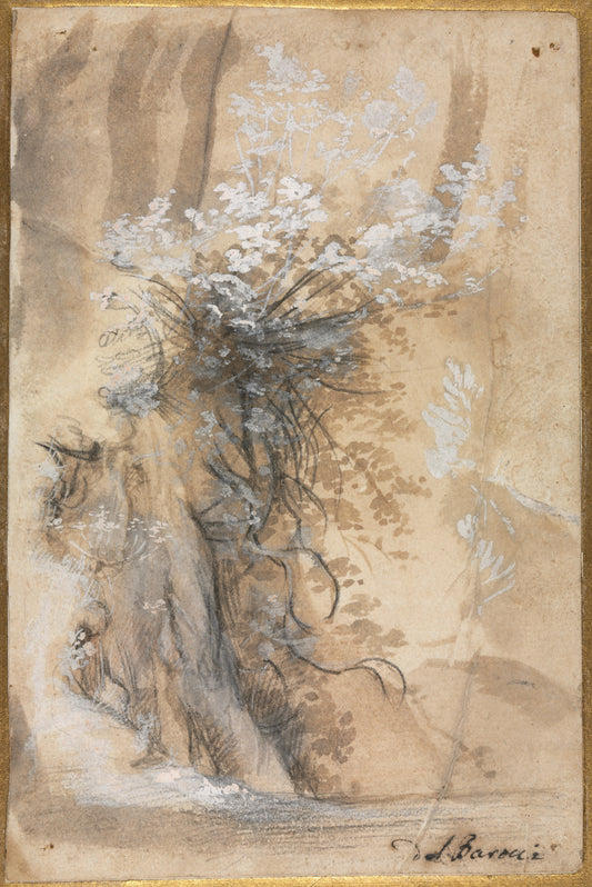 Flowering Bush above an Eroded Bank — Federico Barocci