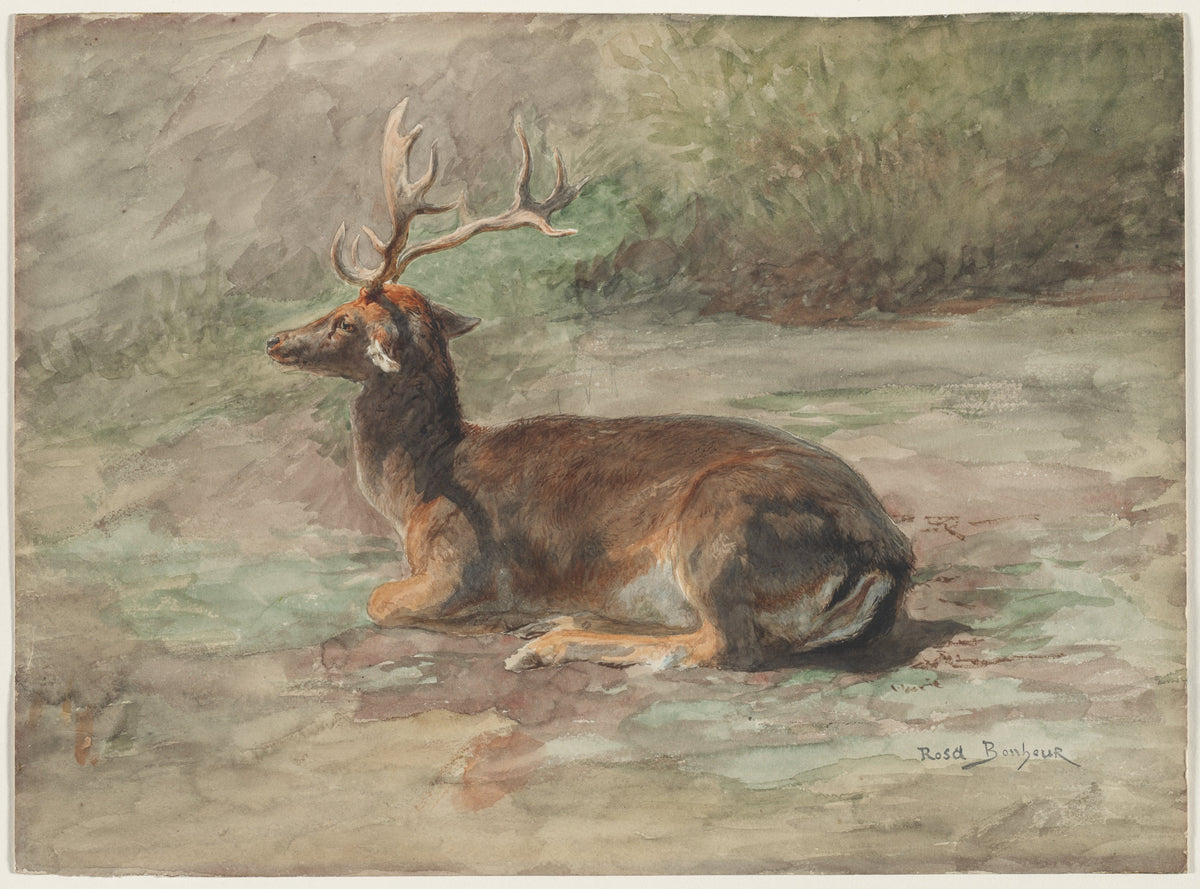 Stag Lying Down — Rosa Bonheur