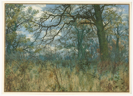 Trees and Undergrowth — Garden William Fraser