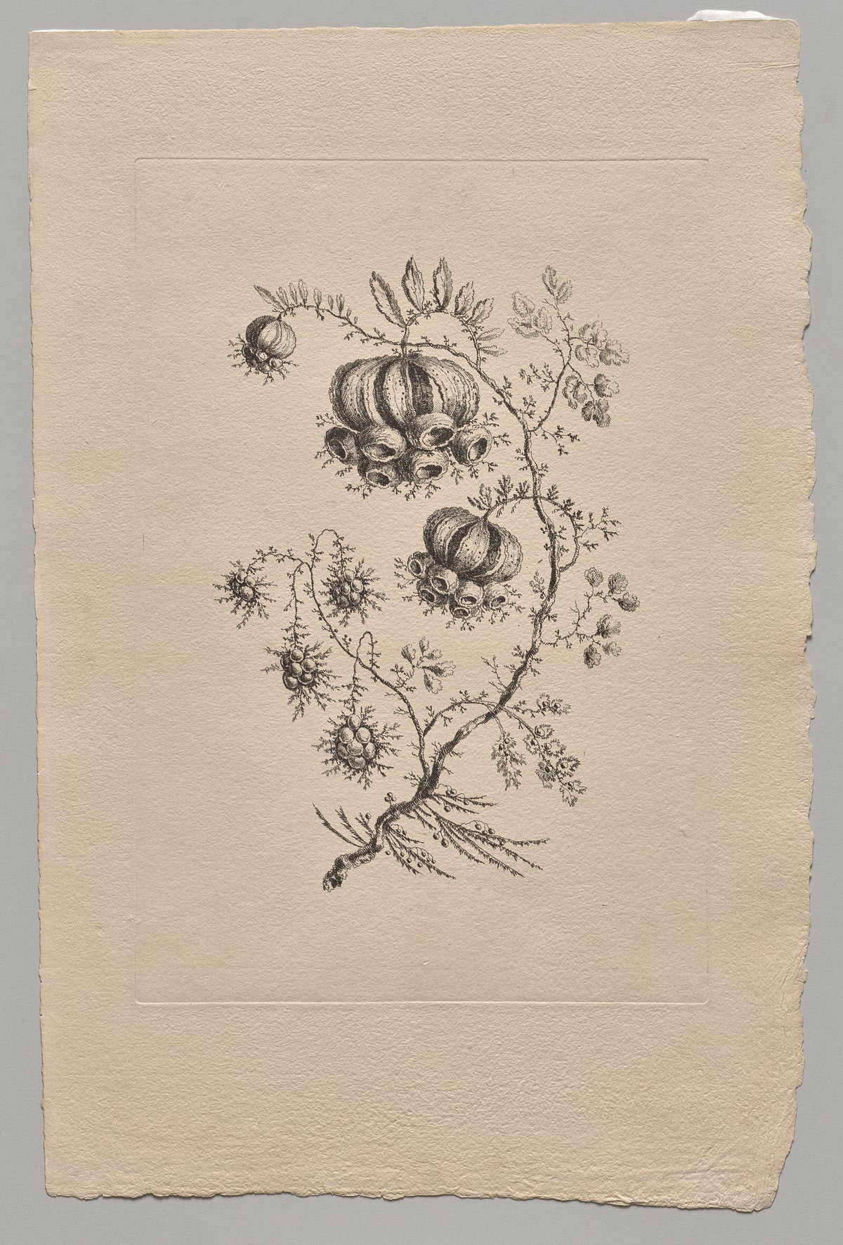 Persian Flowers — Jean Baptiste Pillement