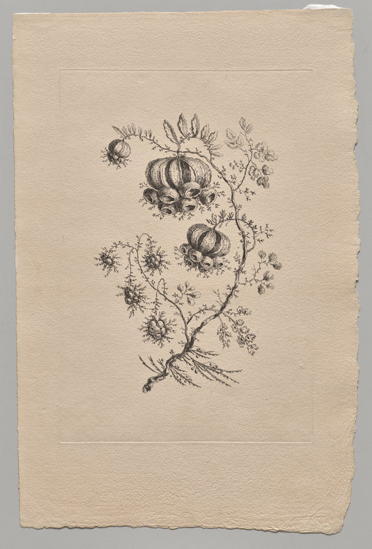 Persian Flowers — Jean Baptiste Pillement