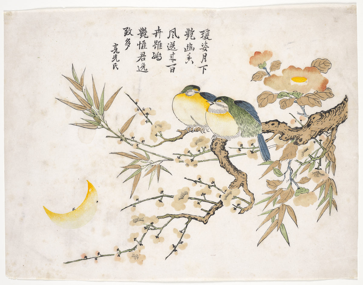 Sleeping Birds