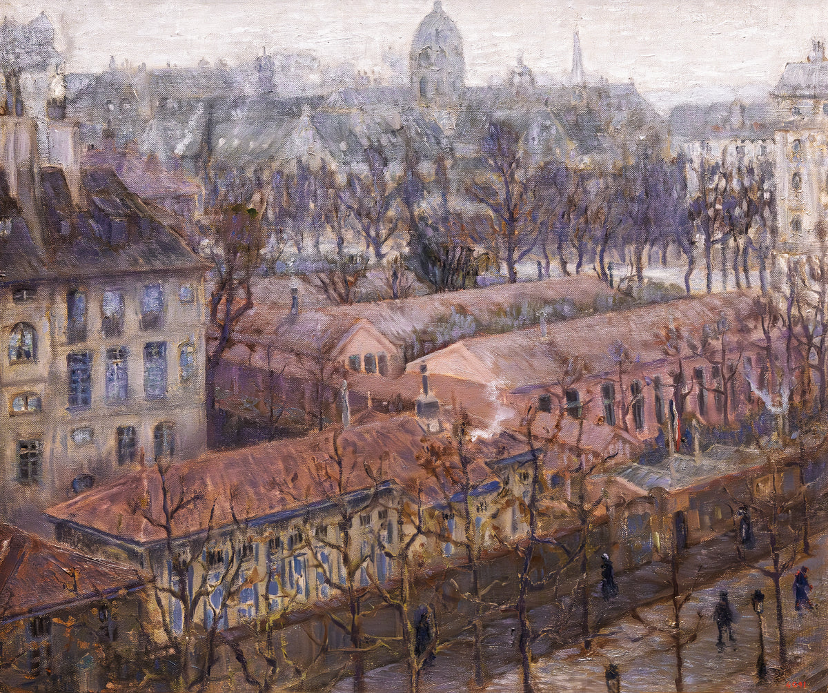 Vedere din înalt a unui colț din Paris (iarnă, zi cu ceață) — Marià Pidelaserra