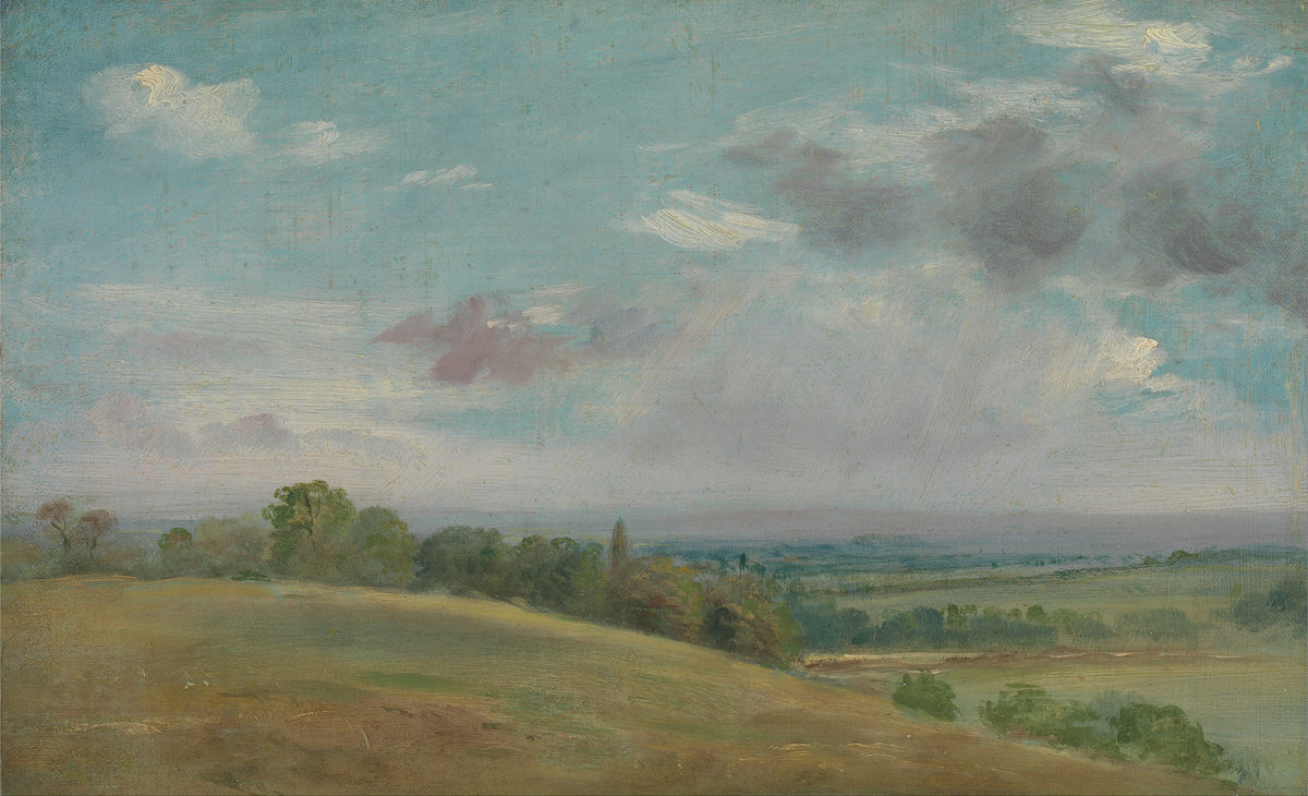 Peisaj — Lionel Constable