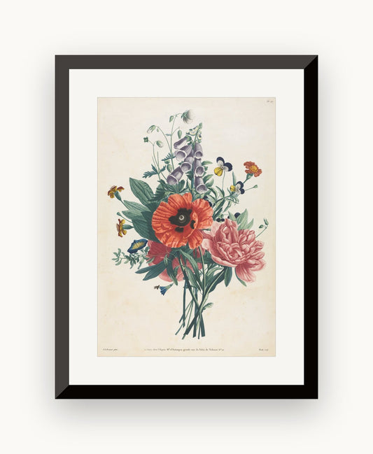 Colecție de flori și fructe pictate după natură: buchet de degețel, clematită, panseluță, bujor, mac și crin — Louis Charles Ruotte