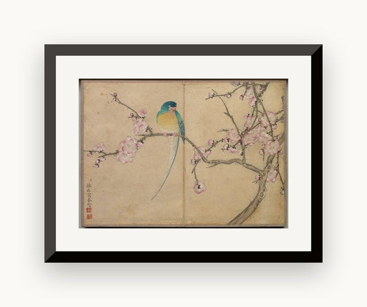 Album de birou cu picturi de flori și păsări (Pasăre cu flori de prun) — Zhang Ruoai
