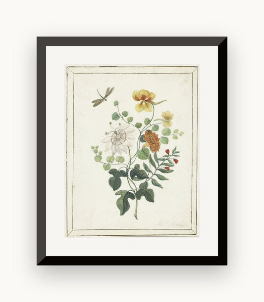 Flori și libelulă — acuarelă botanică