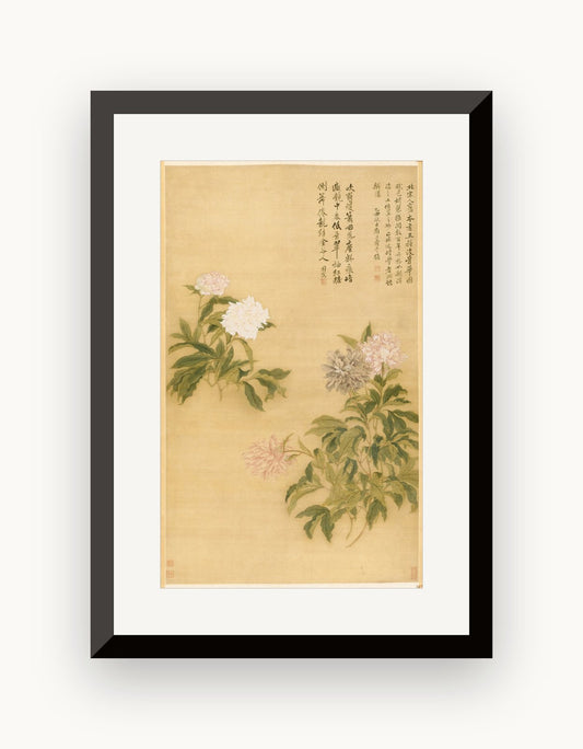 Bujor erbaceu — Yun Shouping