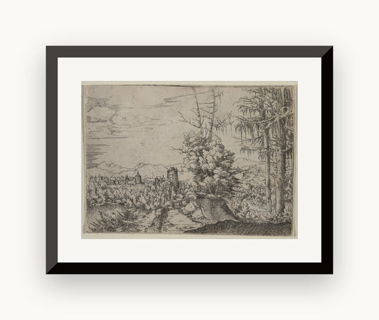Peisaj cu doi pini — Albrecht Altdorfer