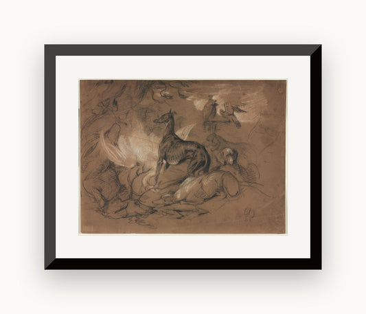 Studii de animale — Edwin Henry Landseer