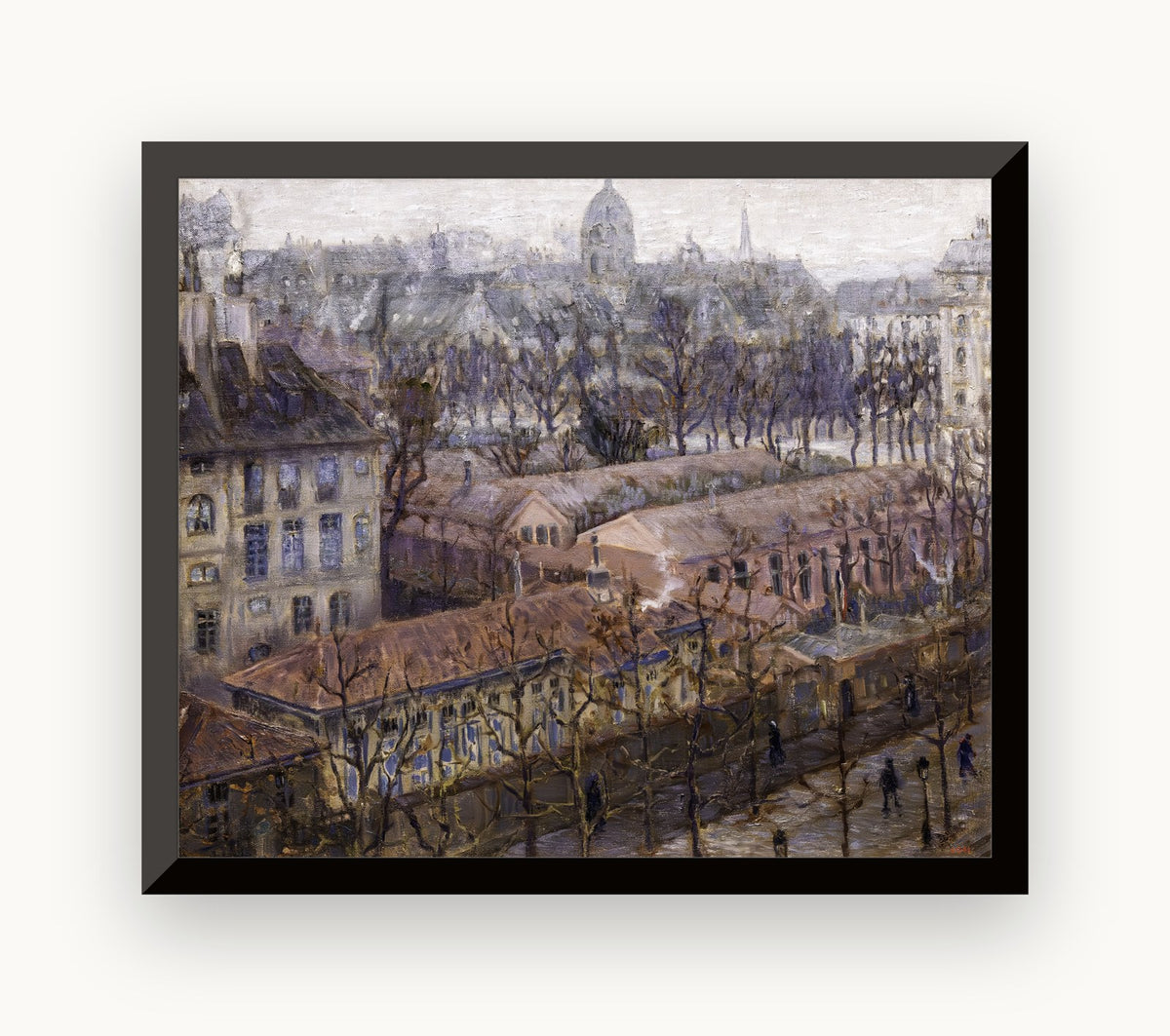 Vedere din înalt a unui colț din Paris (iarnă, zi cu ceață) — Marià Pidelaserra
