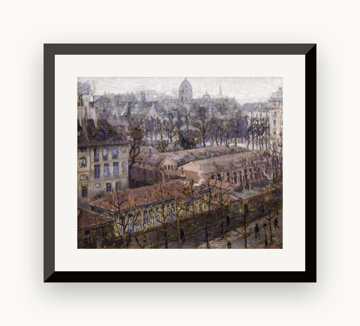 Vedere din înalt a unui colț din Paris (iarnă, zi cu ceață) — Marià Pidelaserra